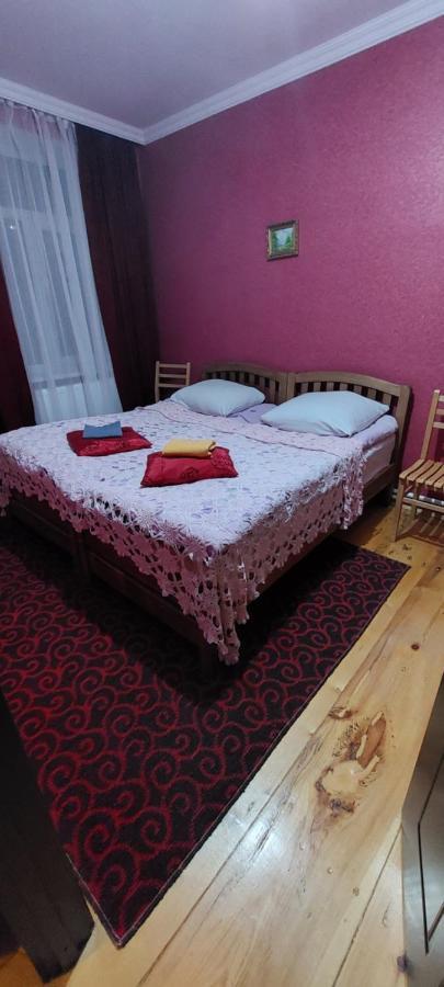 Guest House Lela Rezo Kasbegi Buitenkant foto